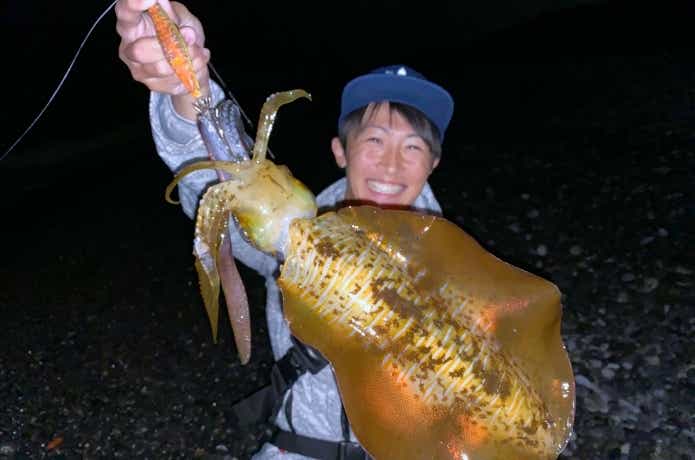 エギングの画像