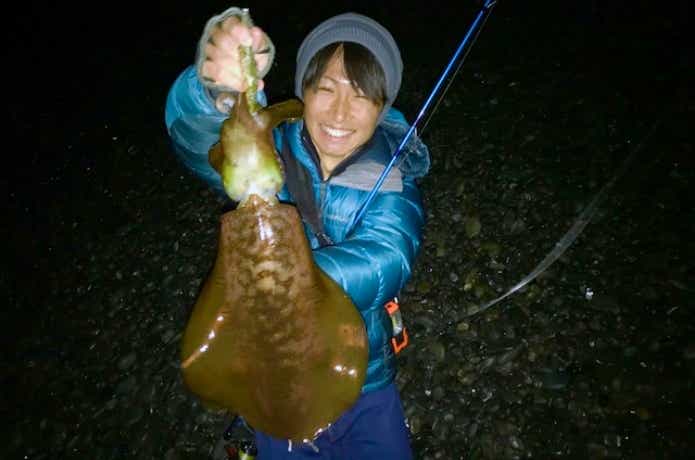 エギングの画像
