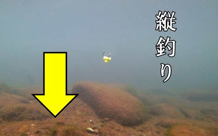 縦釣り　水中映像
