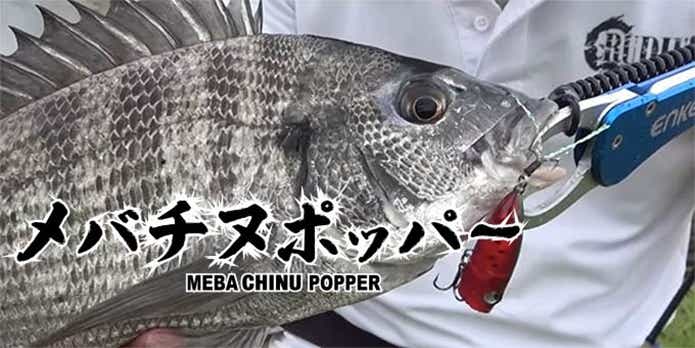 メバチヌポッパー