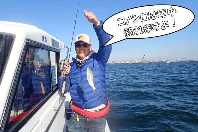 コノシロ 釣り