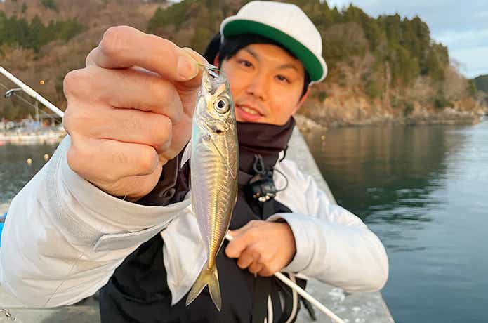 ライトジグサビキでアジ