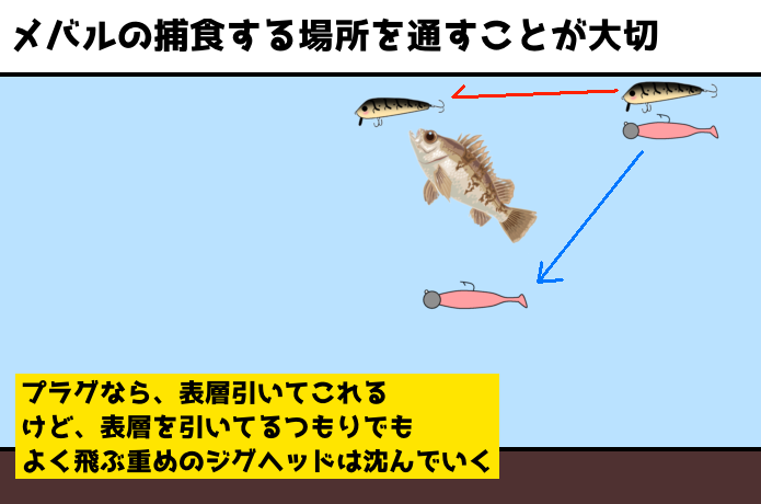 ワームとプラグの違い