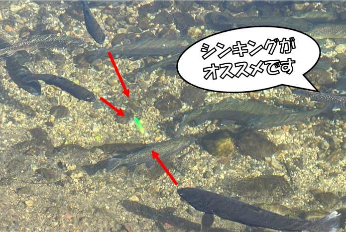 管理釣り場　ミノーイング　コツ