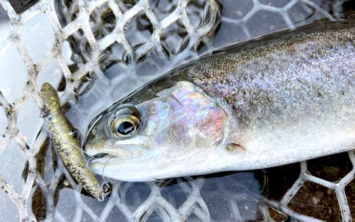 ダブルクラッチF1　デジ巻き