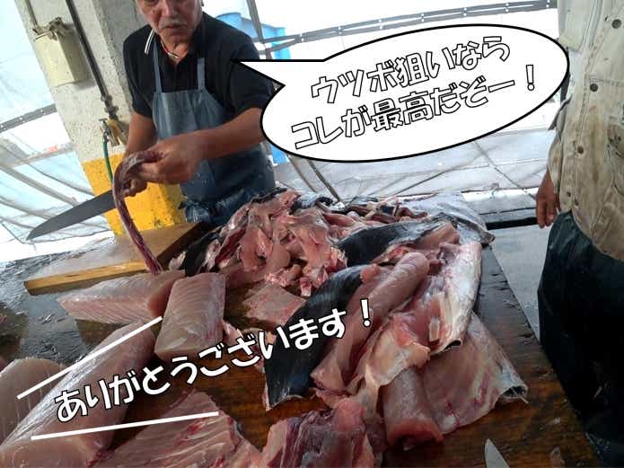 ウツボ　エサ