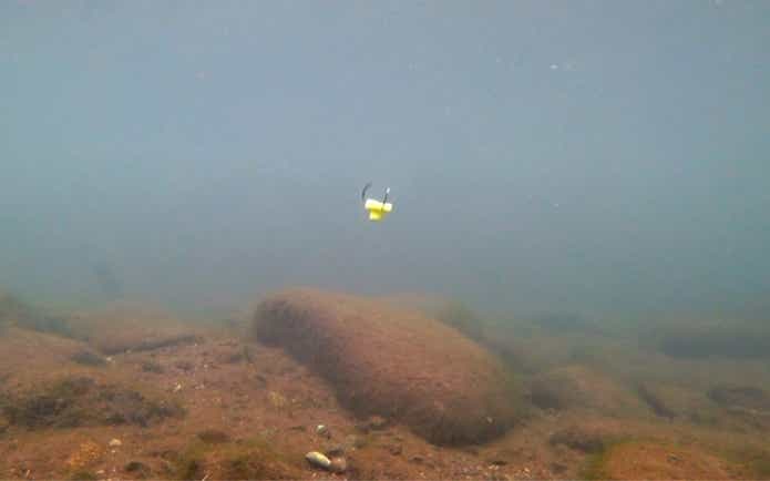 ボトム　ペレット系ルアー　デジ巻き