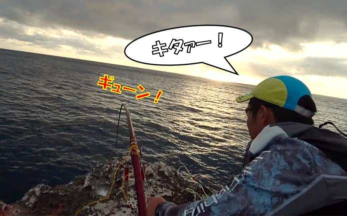 ドクウツボ　釣り