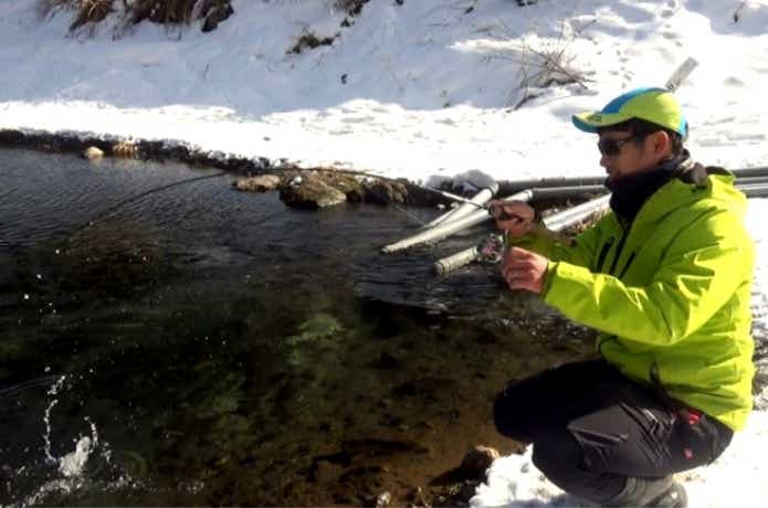 エリアトラウト デジ巻き