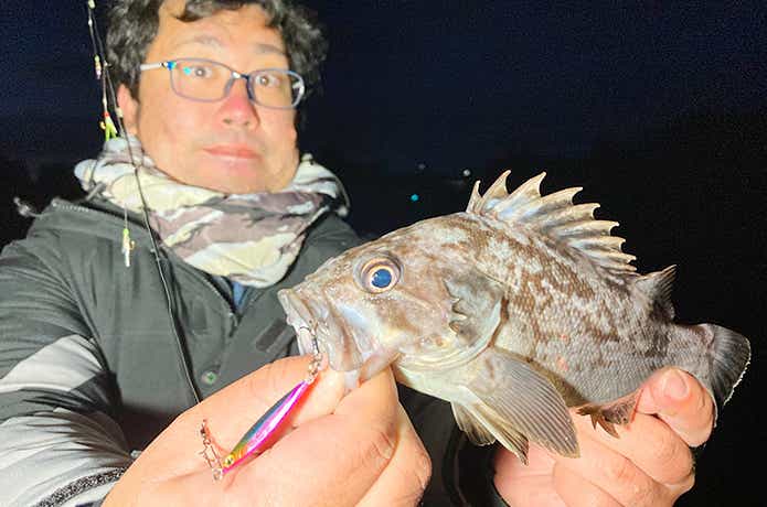 ライトジグサビキでクロソイ