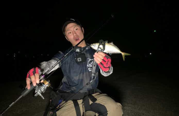 アジングの画像