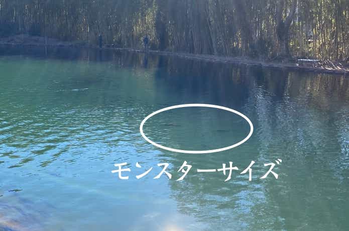 すそのフィッシングパークの画像