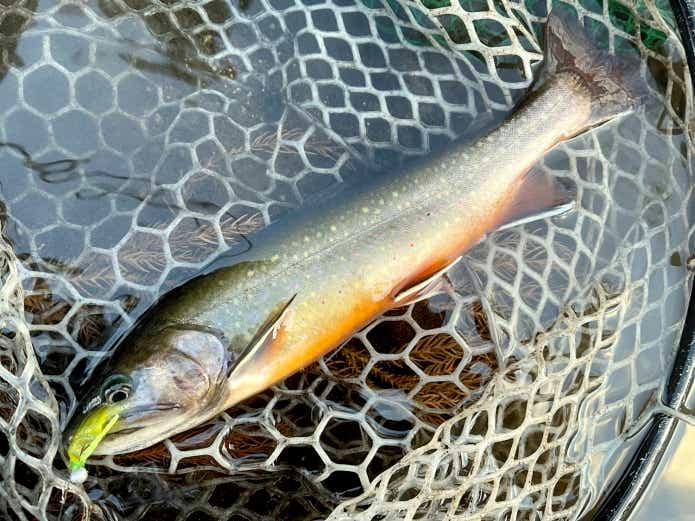 うさちゃんジグ　デジ巻き