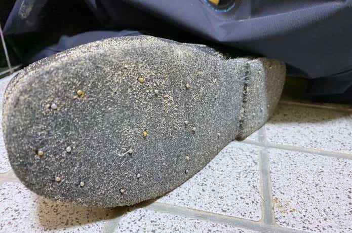 3Dタイドウォーカーの画像
