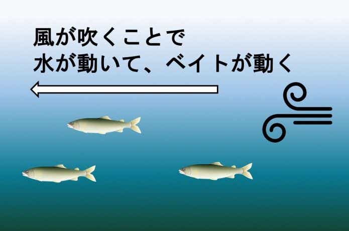 風 ベイト