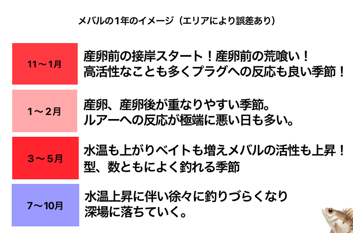 メバリングのシーズン
