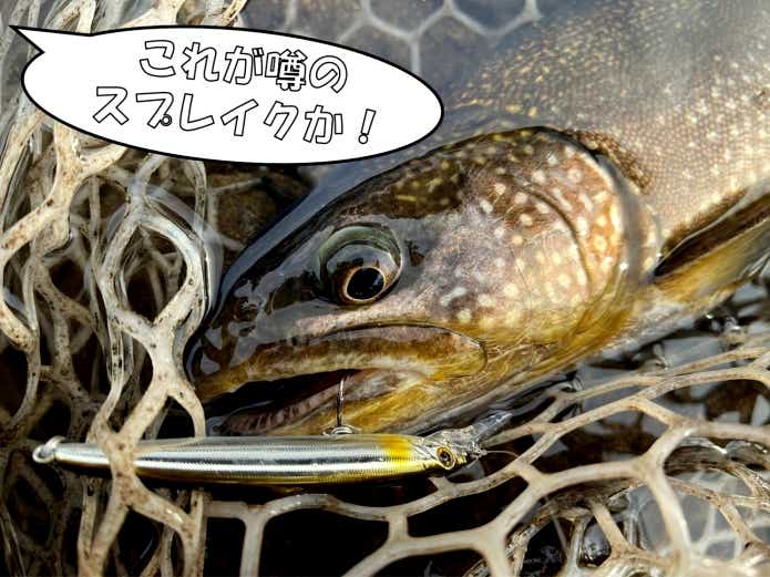 シュガーミノー70F　インプレ