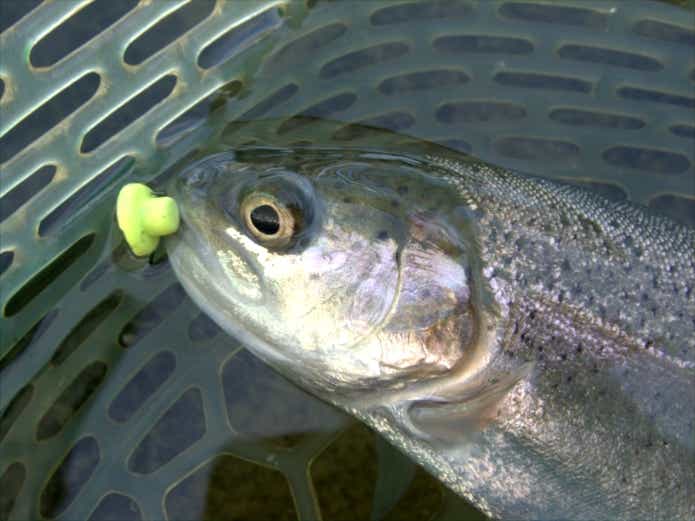 ブング　デジ巻き