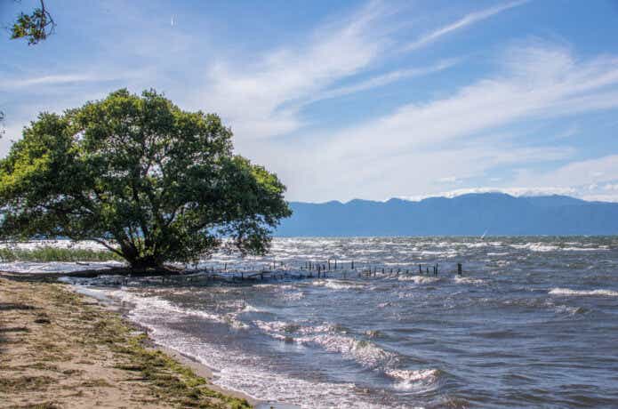 荒れた湖面