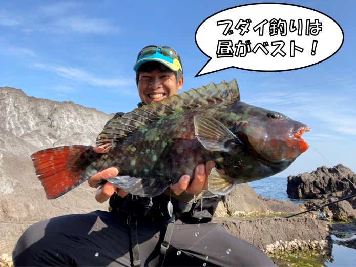 釣ったブダイ