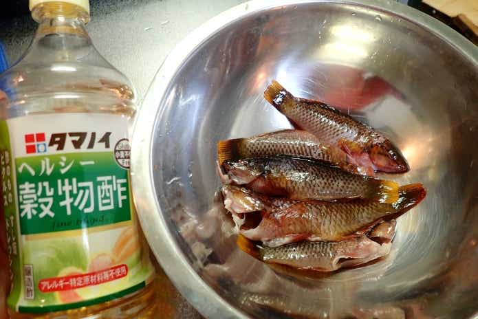 ベラ キューセン 臭み対策 ヌメリ