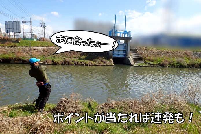 春　ナマズ釣り