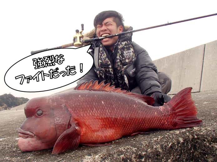 堤防で釣ったコブダイ