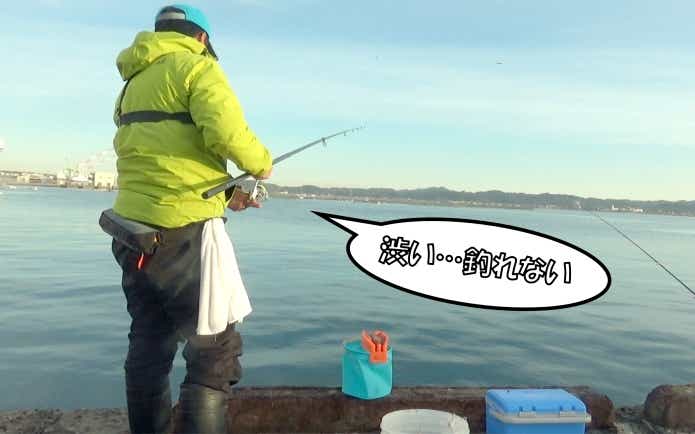 堤防 サビキ 釣れない