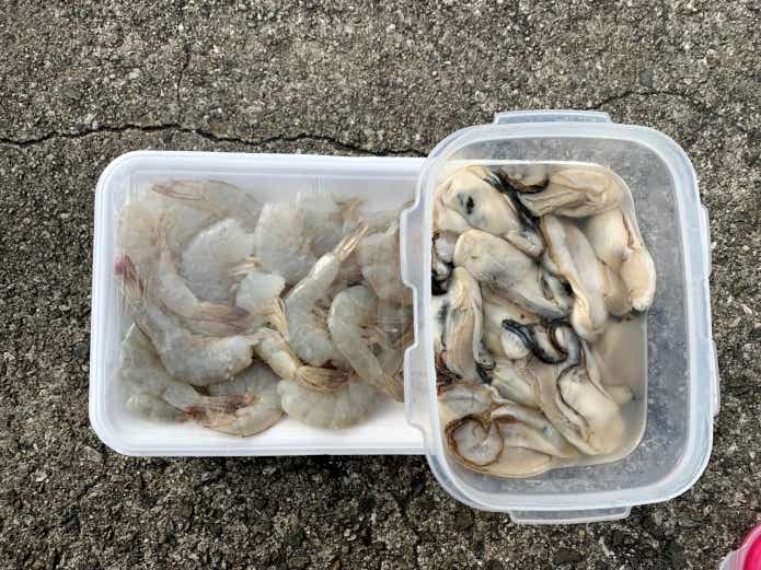 コブダイ釣りのエサ