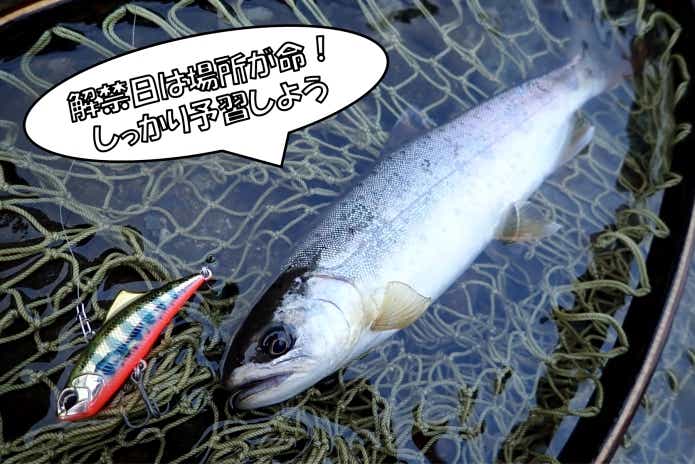 渓流　解禁　ヤマメ　アマゴ