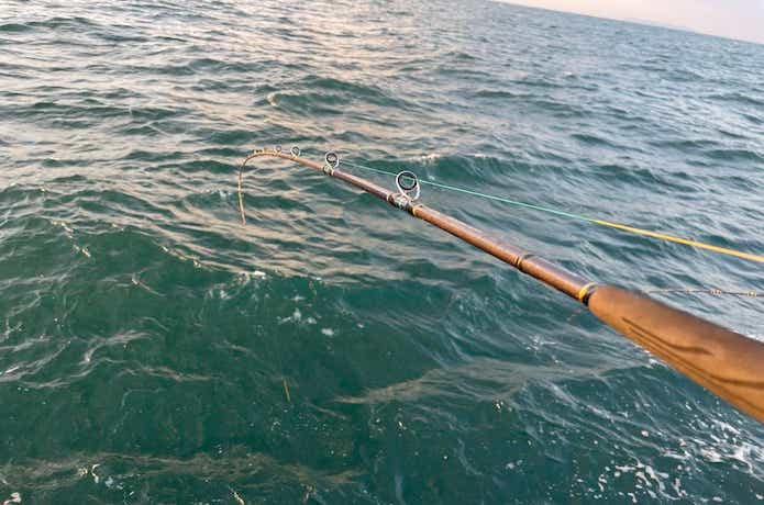 大阪湾】鬼アジの釣り方を元釣具屋が解説！引きの強さは青物に