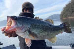 冬の琵琶湖でのバス釣り