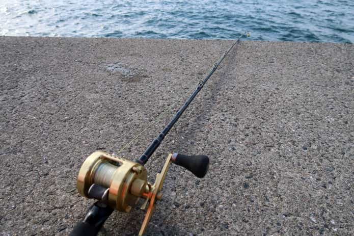 コブダイ釣り