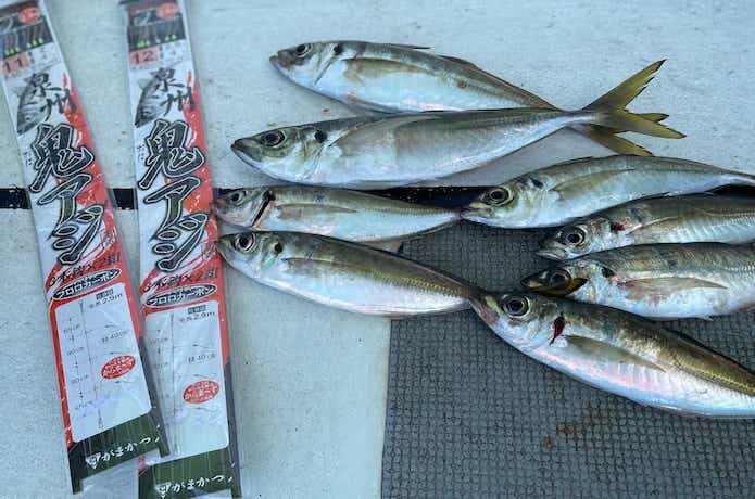 鬼アジ釣りの画像