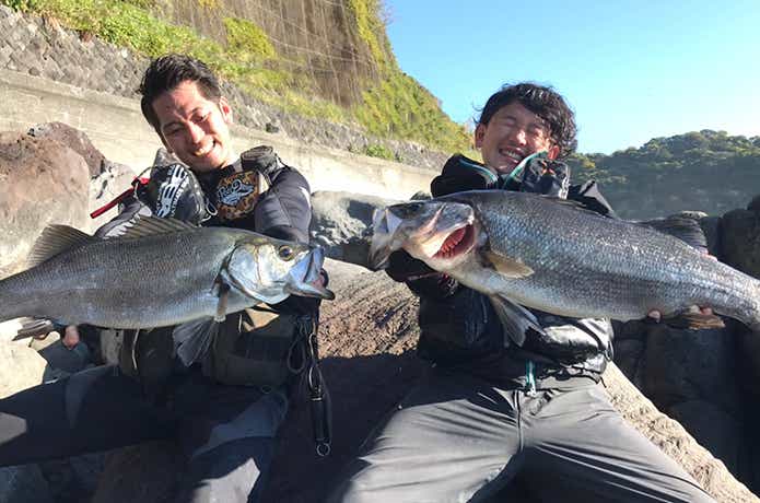 ヒラスズキ釣り