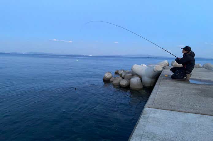 メバルのウキ釣りの画像