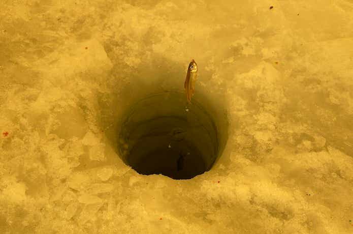 氷上のワカサギ釣り