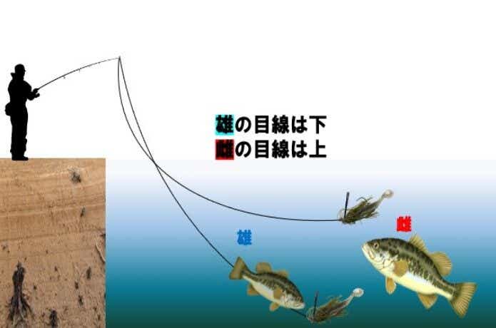 春のバスの目線