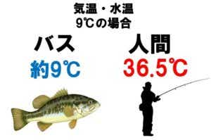 早いもの勝ちクラッシュ9数回使用 クラロワ】11月2枚目の進化カード「限界突破大砲」は、大砲が翼