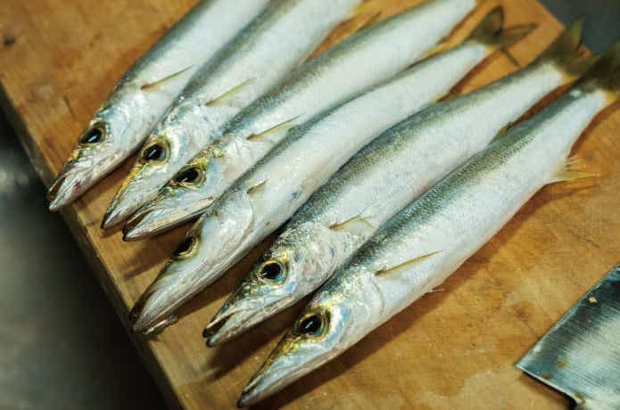 カマス