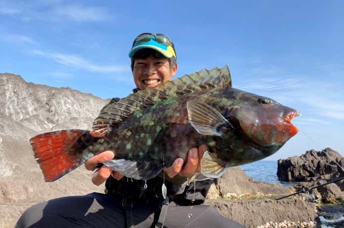 ブダイ　釣り