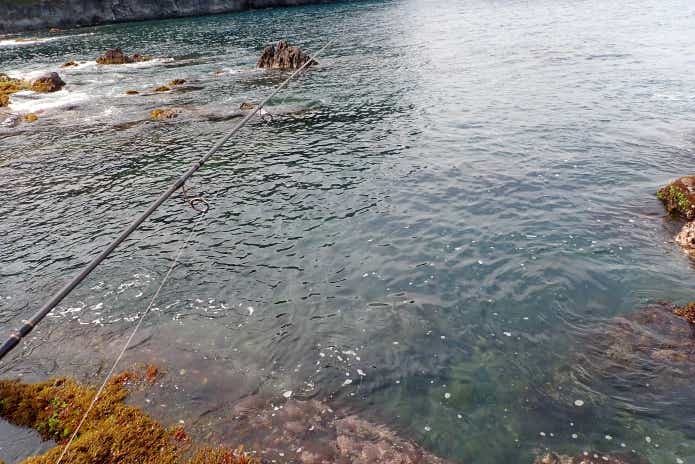 ベラを避けて釣る