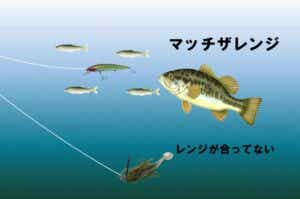 バス釣りのコツ（マッチザレンジ））