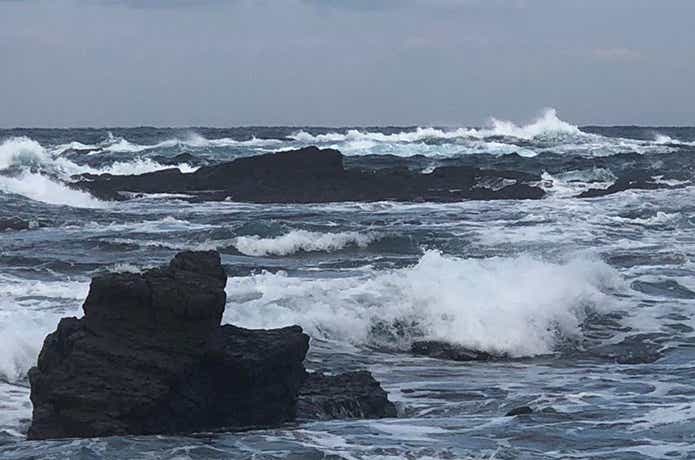 ロッドの強さ