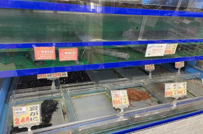 釣りエサの画像