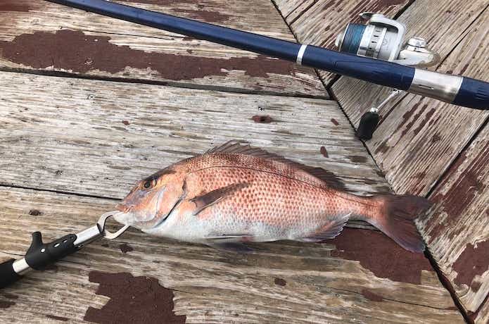海上釣り堀の画像