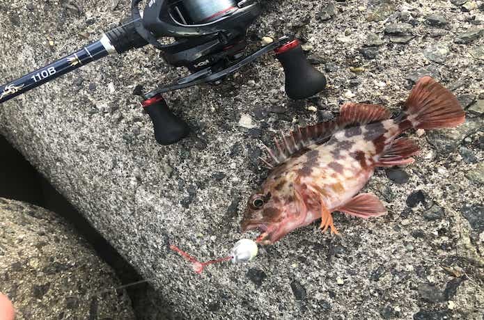 穴釣りの画像