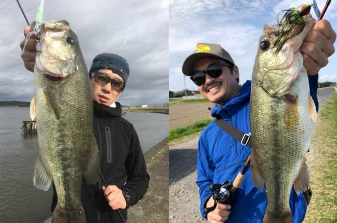 チャターベイトでの釣果