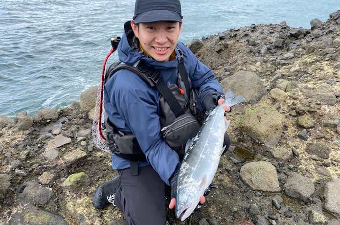 海サクラマスの釣果