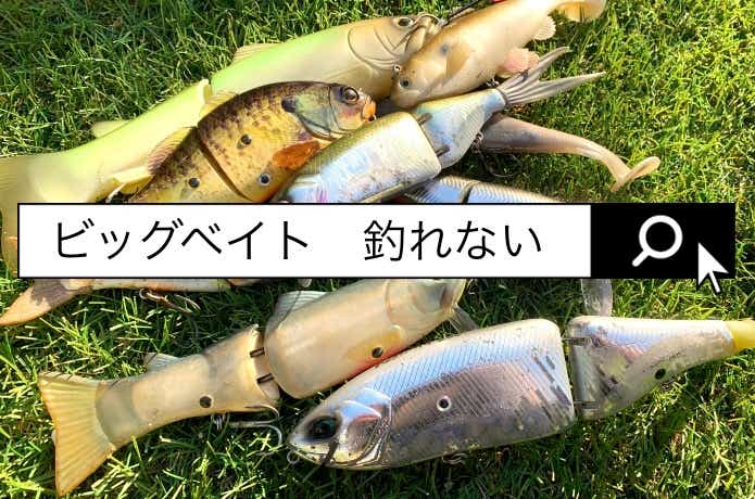 ビッグベイト釣れない！と嘆く人へ。釣りやすいタイミングとマスター